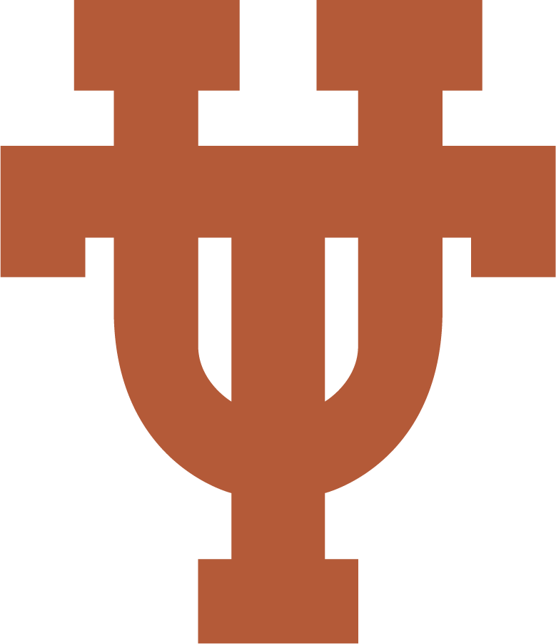 Texas Longhorns 2019-Pres Alternate Logo diy DTF decal sticker